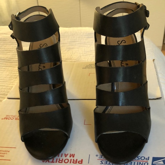 Splendid - Picture 2 of 3